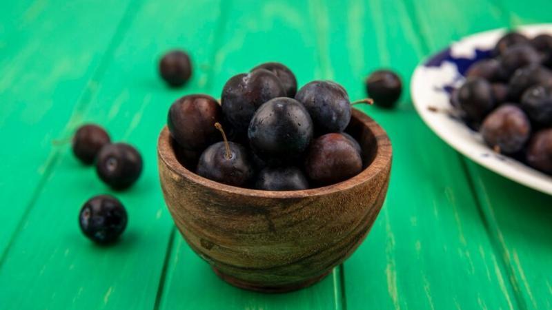 Despolpadeira de Açaí Industrial: O Guia Completo