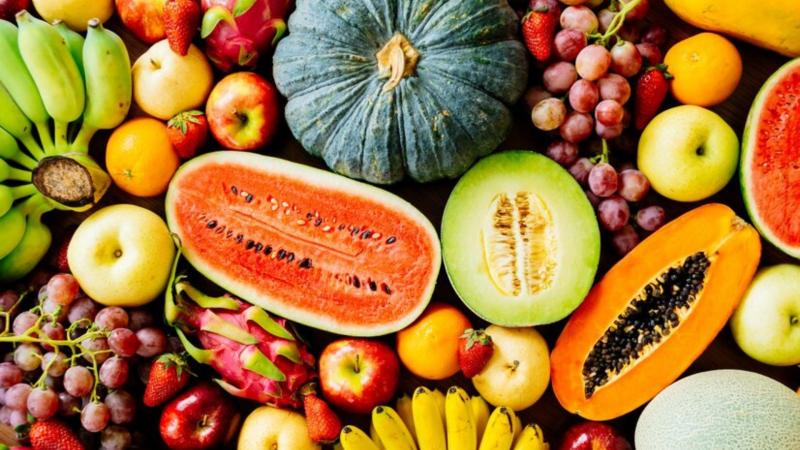 Preço de Despolpadeira de Frutas: 5 Fatores que Influenciam