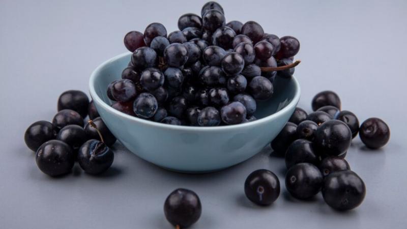 Melhores Máquinas de Bater Açaí