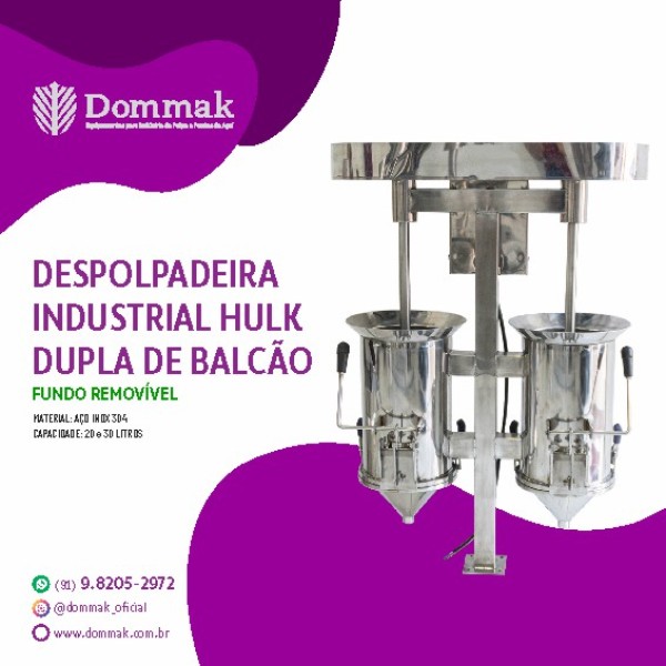 maquinas industriais para acai